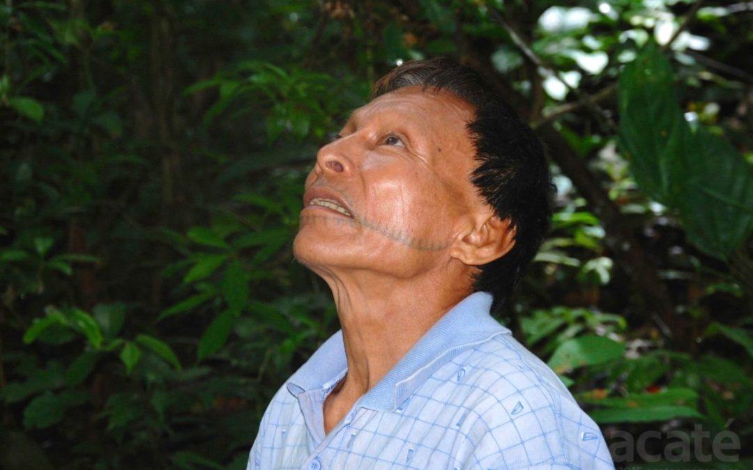 Tribu del Amazonas Peruano crea una enciclopedia de 1000 páginas acerca de su Medicina Ancestral